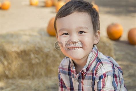 可爱的混合种族年轻男孩在南瓜草地玩得开心高清图片下载-正版图片303632333-摄图网
