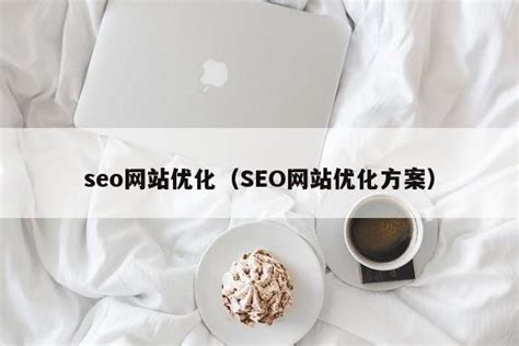 seo网站优化（SEO网站优化方案）-维启网络