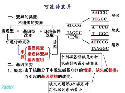 宝宝基因突变初期症状 宝宝基因突变能活多久？ - 中国基因网