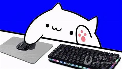 萌萌哒，我就是猫咪，IQUNIX M80猫猫键盘晒图_原创_新浪众测