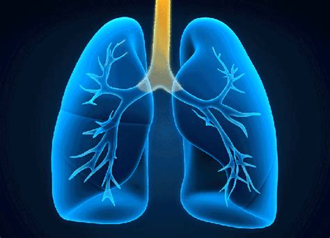 氢氧吸入法获批！可用于慢阻肺患者居家护理 - 知乎