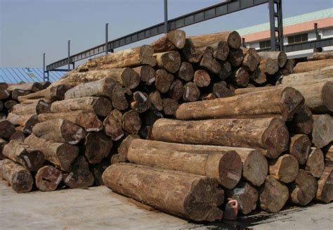 德国木材行业销售额增至450多亿欧元_行业新闻_资讯_整木网
