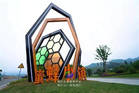 互联网+电商模式开启 桐庐蜂产业打造创新高地-中国网