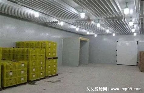 5万吨大型冷库高清图片下载_红动中国