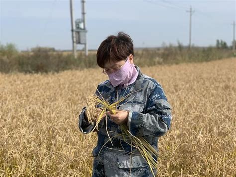 黑龙江省鸡西市召开基础教育国家级优秀教学成果推广应用示范区2022年度推进会议-鸡西教育云