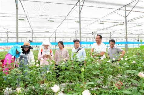 强大专家阵容为云南花卉主产区晋宁开远出谋划策-园艺植物生物学教育部重点实验室(新)