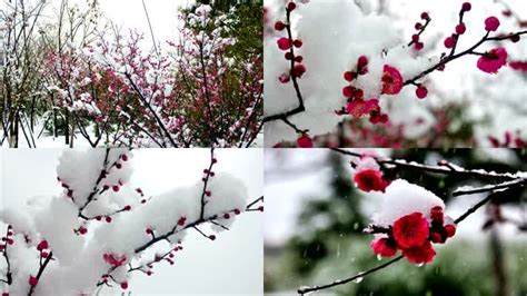 冬去春来|摄影|其他摄影|yaguan - 原创作品 - 站酷 (ZCOOL)
