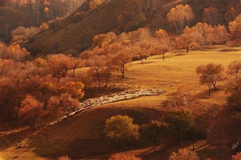 新疆-喀纳斯-缤纷秋色|摄影|风光|岳行者 - 原创作品 - 站酷 (ZCOOL)