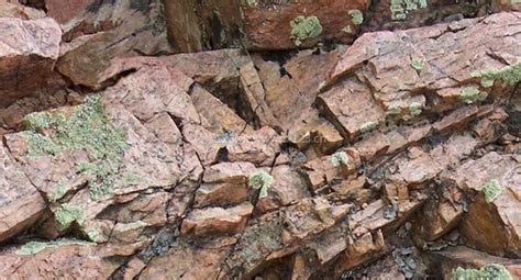 深层砂岩储层特征及成岩差异演化过程