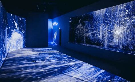 沉浸式主题空间-展厅策划及搭建-数字文旅-深圳千渡科技