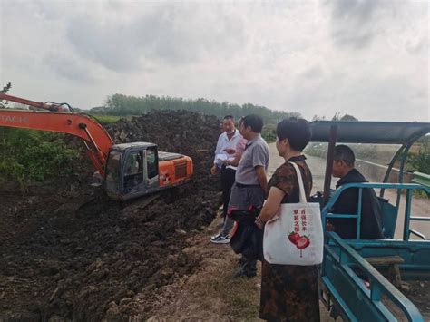 丰县举办紫山药高效栽培技术集成推广项目培训班 - 徐州市科学技术协会