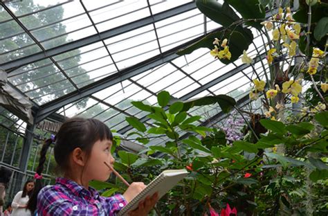 使用放大镜观察植物的植物科学家背景_使用放大镜观察植物的植物科学家摄影图片_使用放大镜观察植物的植物科学家壁纸_摄图网