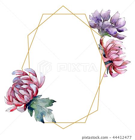 Watercolor colorful aster flower. Floral... - 스톡일러스트 [44412477] - PIXTA