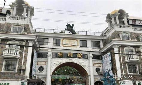 上海松江区九亭龙高路附近养老院有哪些，附地址及收费 - 申养网