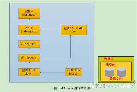 逻辑架构图图片