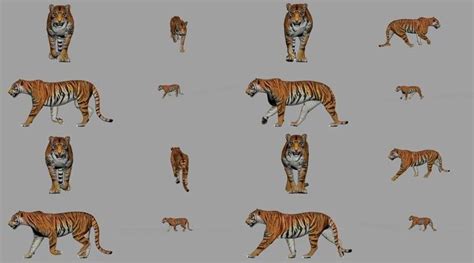 四足动物循环动画怎么做？给你一篇超透彻的教程 - 知乎