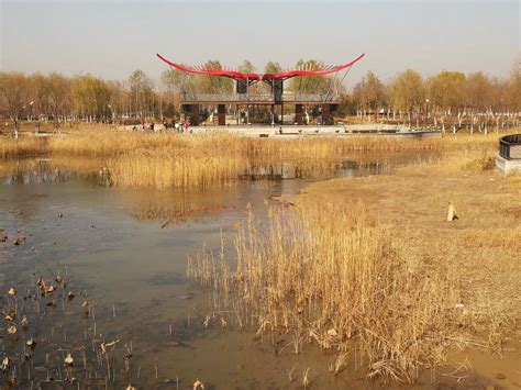 昨天全市游园人次超135万 奥森公园成为“人气王”_北京日报网