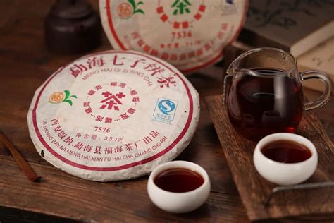 夜茶，勐海青饼……-茶语网,当代茶文化推广者