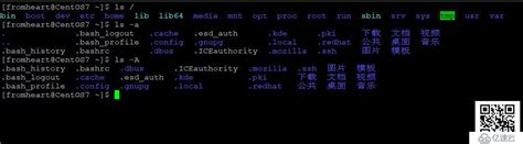 linux:命令ls列出目录内的文件和目录详解_ls 查看所有文件-CSDN博客