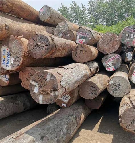 青白江国际木材交易中心：复工满产 供需两旺-木业网