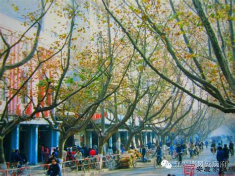 【安庆老照片】凝聚安庆人的消费情感 记忆里的老人民路 - 名胜景观 - 安庆家谱网