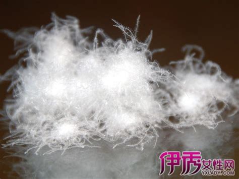 冰丝棉是什么面料会起球吗（冰丝棉和棉的区别） – 碳资讯