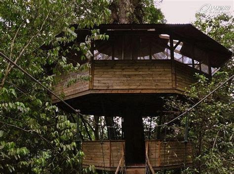 建在树上的房子！热带雨林里的梦幻树屋村 - 建筑 | 火星时代