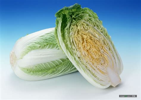 白菜叶图片,一片白菜叶图片大全,白菜花图片_大山谷图库