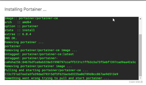 OMV升级6.0后安装docker portainer报Something went wrong trying to pull and ...