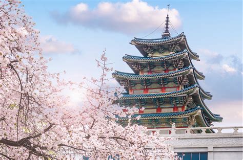 韩国延长全球旅游特别预警至10月13日 | TTG China