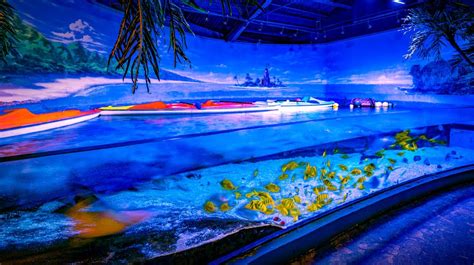 2021哈尔滨极地公园·海洋馆（一期）-旅游攻略-门票-地址-问答-游记点评，哈尔滨旅游旅游景点推荐-去哪儿攻略