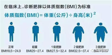 肥胖的危害__凤凰网