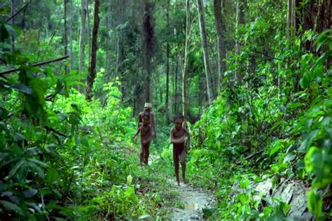 亚马逊原始部落以猎猴为生 多为扁平足 - 金羊网