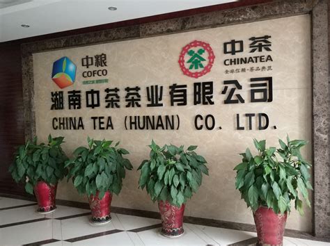 【茶博会观摩】西秀区御茶村公司：打造无接触生态绿茶
