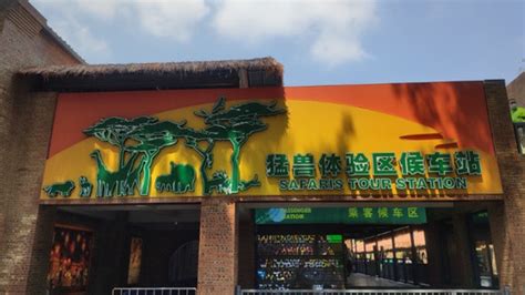 北京野生动物园门票预约攻略（附购票入口）-大兴-墙根网