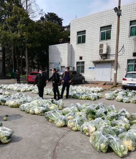 每户10斤！荆州区居民陆续收到免费“蔬菜包”- 荆州区人民政府网