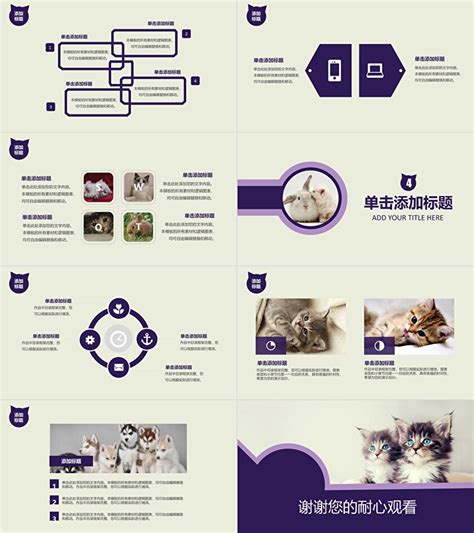 “宠物店”创业计划书Word模板下载_编号qodzvvea_熊猫办公