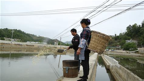 贵州省李洪俊：从“打工者”到“水产户”的创业路_水产快讯（水产养殖）_水产养殖网