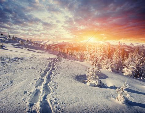 梦幻般的冬季景观和通向山脉的人迹罕至的小径日落假期喀尔巴阡高清图片下载-正版图片507243286-摄图网