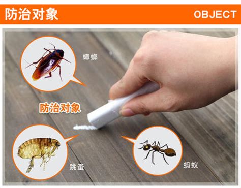 上海闵行区除虫防虫 灭鼠消杀 有害生物防制 白蚁防治消杀公司