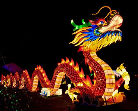 Asia Album: Fire dragon dance in Hong Kong-Xinhua