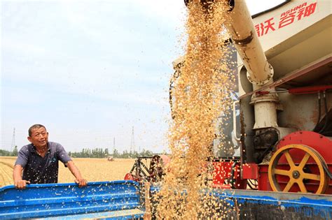 【在希望的田野上】全国麦收进度达4.8% 大规模机收将展开 - 西部网（陕西新闻网）