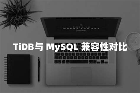 一名开发者眼中的 TiDB 与 MySQL 的选择丨TiDB Community - 墨天轮