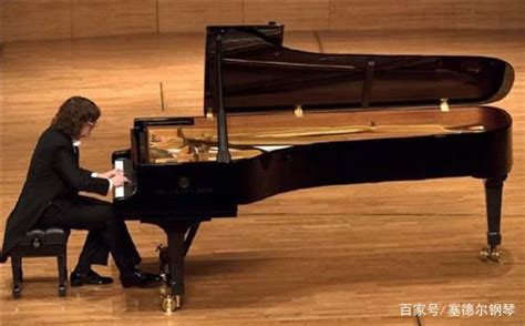 中国十大钢琴家排名，国内钢琴家十大排名