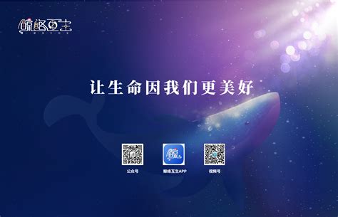 网络图文连线展示ae模板 下载_红动中国