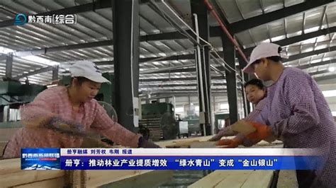 贵州册亨推动林业产业提质增效-中国木业网