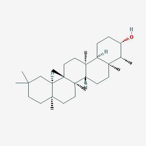 2024 WFS薄膜展|上海薄膜胶带展|保护膜光学膜功能薄膜展|涂布与模切展|上海国际功能性薄膜技术展览会丨励程展览