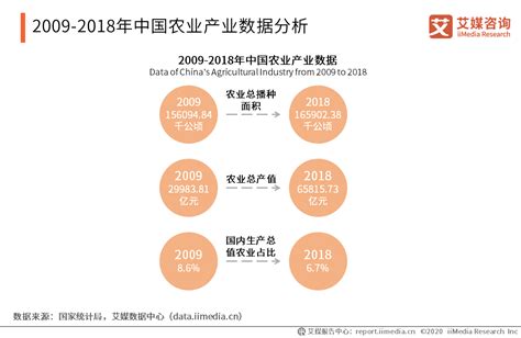 2020—2025年中国有机农业深度研究与市场前景预测报告