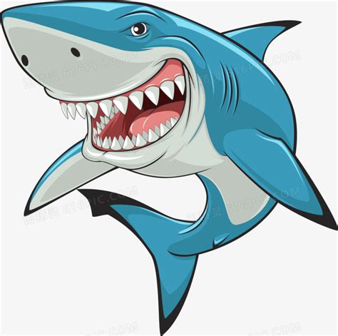 海洋鲨鱼素材-海洋鲨鱼模板-海洋鲨鱼图片免费下载-设图网