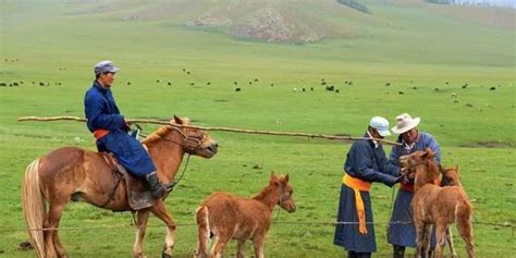 跃上马背，这个蒙古族女孩在草原尽享暑假“欢乐时光”_国内_新闻频道_云南网